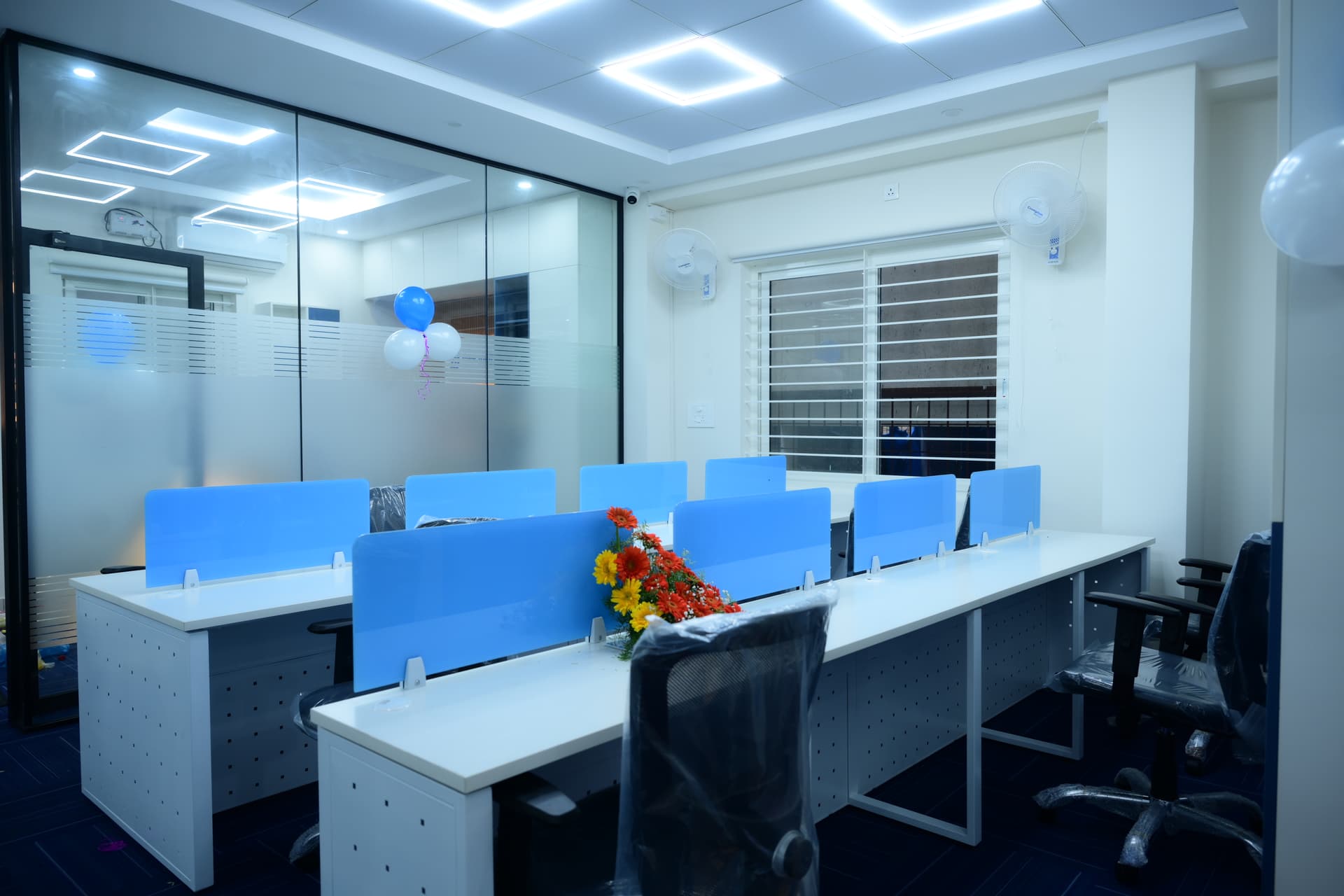 Rise Infotech Training